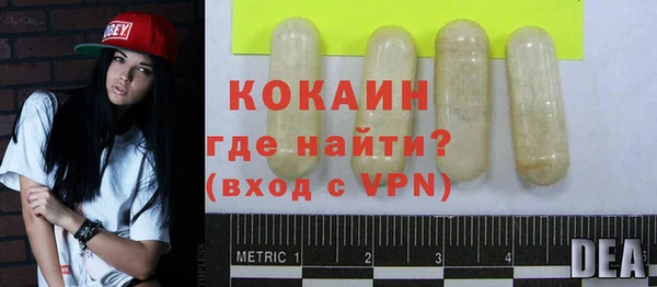 индика Гусев