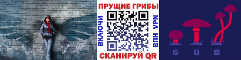KRAKEN рабочий сайт  Каневская  Галлюциногенные грибы мухоморы 